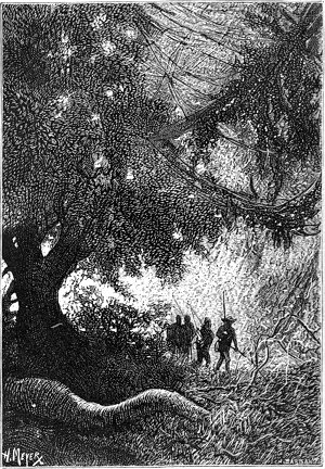      ,       .       .    (1841-1899),    (1844-1921).  1878 .