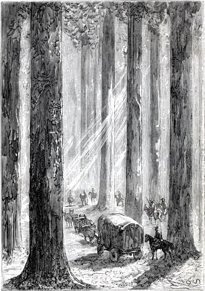 � ���� ���������� �� ���������� ������ ������ ������ � ��������, �������������� �� ����� ���������� ��� � ����������� ���������. ������� ����� ���� ��������� ��������������� ������ � ���, ���������� ������� �� ����� ��� ����������. � ���� �������� ���� �������� ��� ���� �������������� ���������� � ������ ����� �������, � �������� ����� �������� � ���� ������. ����������� � ������ ���� ����� ����� �������� ������. �������� ������ ���, 1868 �.