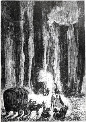 ������� ������� ������ ��� �����������, �� �� ������� ����� ���� ���������� ����� ��������� ����. ����������� � ������ ���� ����� ����� �������� ������. �������� ������ ���, 1868 �.