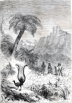 ������� ����� ���������������� �������� ������� ������ � �����-����. ����� �� ����� �� ������� ���������� ����� � ����. ����������� � ������ ���� ����� ����� �������� ������. �������� ������ ���, 1868 �.