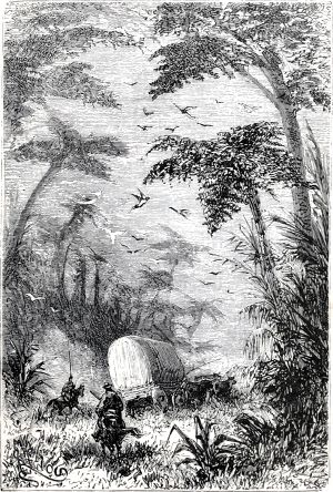 �� ���������� ����� �� ���� ����� �� ����������� ���� ������������. ����������� � ������ ���� ����� ����� �������� ������. �������� ������ ���, 1868 �.