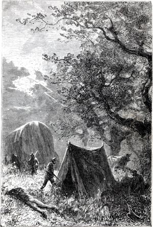 ����� �������� ������� ������ ��������� ����, �� �������� ��� �� ��������. ������ ��� �����; �� ��������� ���������� ������������� ������ ���������� �����. ����������� � ������ ���� ����� ����� �������� ������. �������� ������ ���, 1868 �.