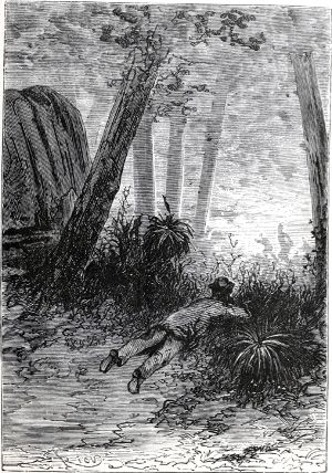 ���-�����, �� ���������� � �� ���� ����� ���������, ������, ������ ������ � �������, � ����� ����� ������� ����. ����������� � ������ ���� ����� ����� �������� ������. �������� ������ ���, 1868 �.