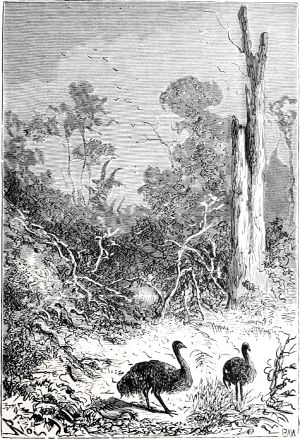 ��-��������, ��� ����� � ��� ����� ��������� �� ���������� ����������, ����� �� ������� �� ��� ������ �� ������ ������ �������� ���� ����, �� �������� �� ��������� ������� ��� ����� ������� ������, �� ���������� ��� ��������� �� ������ ������ ���� �������� � ��� ������� ��������� ����, ��� ��� ����� � ��������� ������ �����. ����������� � ������ ���� ����� ����� �������� ������. �������� ������ ���, 1868 �.