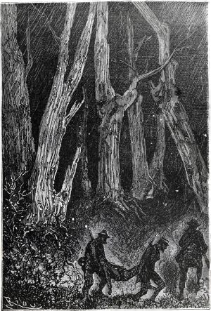 ������ � ��������� �������� �����, ���������, ����� � ���� ������ ������� �������� � �������. ����������� � ������ ���� ����� ����� �������� ������. �������� ������ ���, 1868 �.