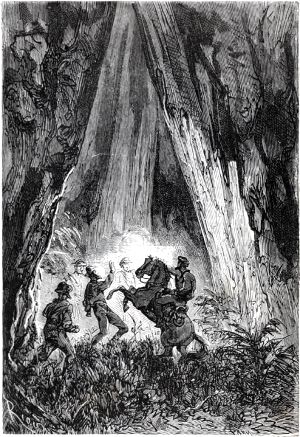 ���� ����� �� ����. �������� �������� ��������� � ������ �����. ����������� � ������ ���� ����� ����� �������� ������. �������� ������ ���, 1868 �.