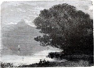     ,        . ,    ,                .        .   , 1868 .