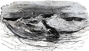 ��� ������� ����� �������� �� ������, ������ ��� �� ���������� �����. ����������� � ������ ���� ����� ����� �������� ������. �������� ������ ���, 1868 �.