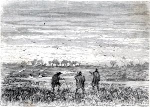 ��������� � ��� ������ ����, ����������� � ����������, ���������� ����������� ����� �� �����������-���������� ����� �� ������� ����. ����������� � ������ ���� ����� ����� �������� ������. �������� ������ ���, 1868 �.