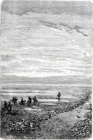 � �� ��, �������� ���������, � ������� �������, �������� ��� ����� ����� ������������ ��������� �����, � ��� ������ �� ������� � �������. ����������� � ������ ���� ����� ����� �������� ������. �������� ������ ���, 1868 �.