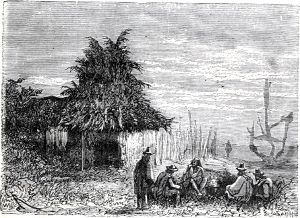            ;    ,  ,           .        .   , 1868 .