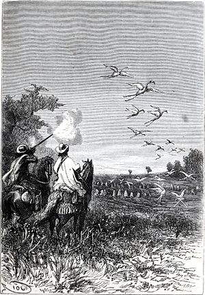 ������������� � ��� �� ���������� ��������� ��������, ������� ��������� �������� �������, ��� ��� �� ����� �������� ��������� ������ �����, � ��������, ������ ������������, ��������� � ���� ����� �������. ����������� � ������ ���� ����� ����� �������� ������. �������� ������ ���, 1868 �.