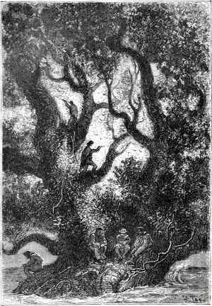 �����, ��-��������, ������� ���� ������� � ������ ������ ����������� ���������. ����������� � ������ ���� ����� ����� �������� ������. �������� ������ ���, 1868 �.