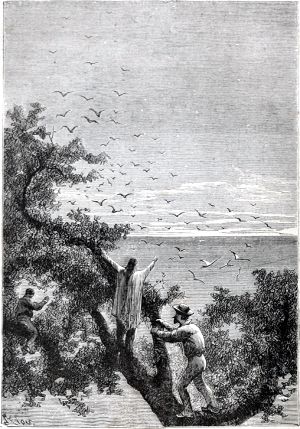      .        .   , 1868 .
