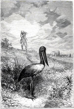 ������ ��� �� ������� ����������� ����� ������, ��� ���������� � ���� ����� �����. ��� ��� ����� � ���������� ������� ���������� �������. ����������� � ������ ���� ����� ����� �������� ������. �������� ������ ���, 1868 �.