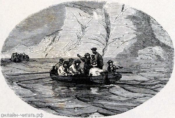 ����� ���� ����� ����� �������� ������ �� 172 ������������� ������� ���. ����������� ������������.