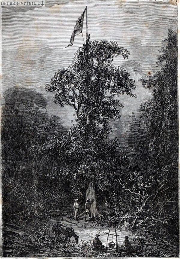 ����� ������ ������ �� ��������� ������� ������, ������ ������ ����� � �� �������� ������ ������������� ����. ����������� � ������ ���� ����� ����� �������� ������. �������� ������ ���, 1868 �.