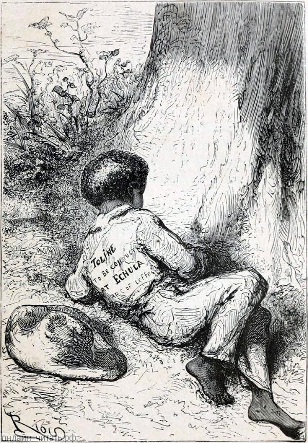 ������. ������ ���� ��������� � ����� ��� ���������� ���������������� ���������� ������ �����. ������ �������. ����������� � ������ ���� ����� ����� �������� ������. �������� ������ ���, 1868 �.