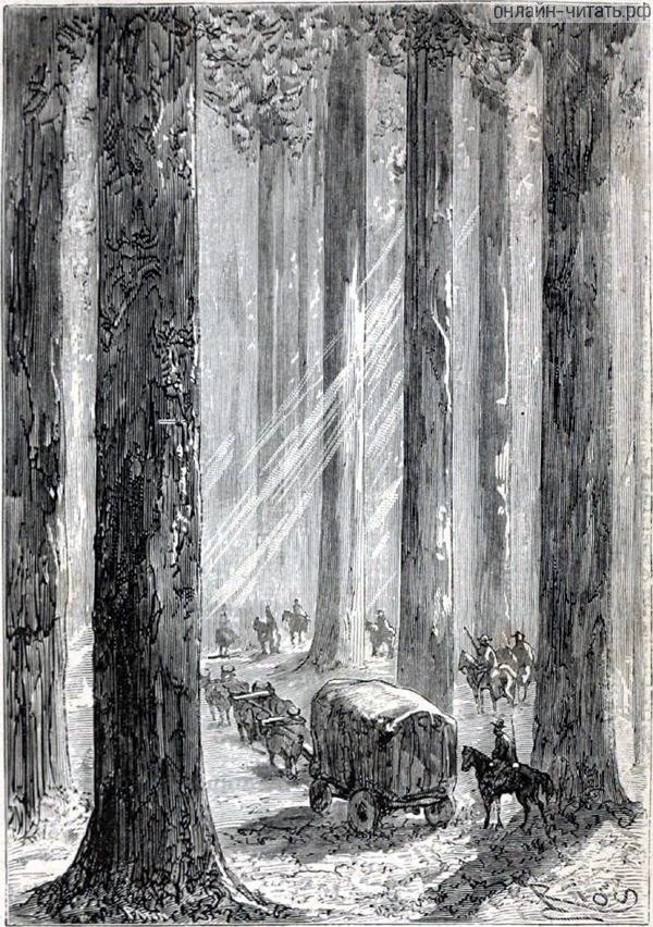 � ���� ���������� �� ���������� ������ ������ ������ � ��������, �������������� �� ����� ���������� ��� � ����������� ���������. ������� ����� ���� ��������� ��������������� ������ � ���, ���������� ������� �� ����� ��� ����������. � ���� �������� ���� �������� ��� ���� �������������� ���������� � ������ ����� �������, � �������� ����� �������� � ���� ������. ����������� � ������ ���� ����� ����� �������� ������. �������� ������ ���, 1868 �.