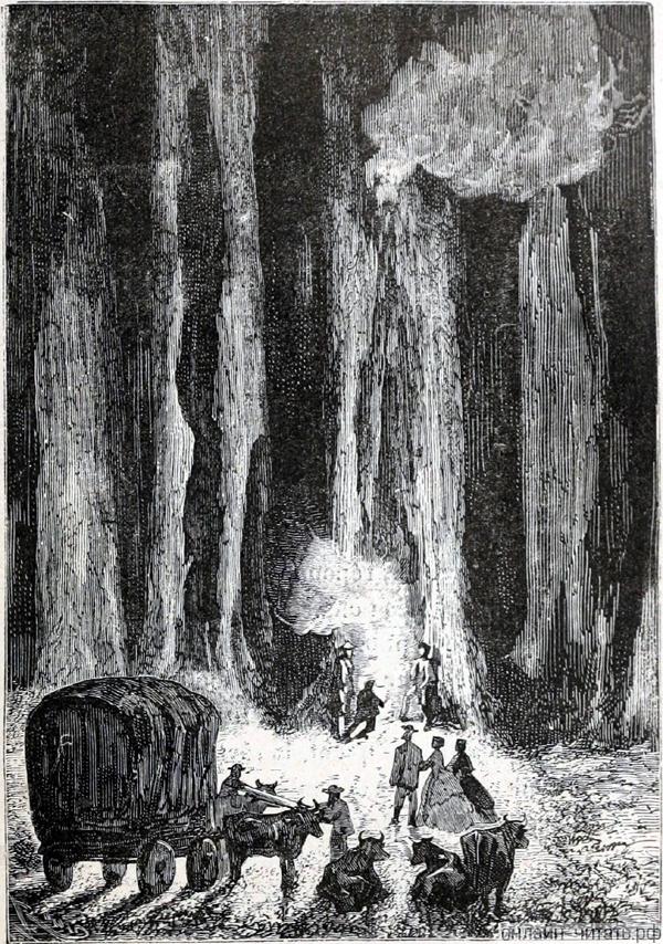 ������� ������� ������ ��� �����������, �� �� ������� ����� ���� ���������� ����� ��������� ����. ����������� � ������ ���� ����� ����� �������� ������. �������� ������ ���, 1868 �.