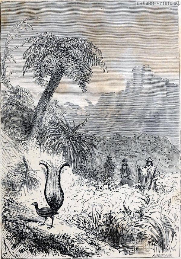 ������� ����� ���������������� �������� ������� ������ � �����-����. ����� �� ����� �� ������� ���������� ����� � ����. ����������� � ������ ���� ����� ����� �������� ������. �������� ������ ���, 1868 �.