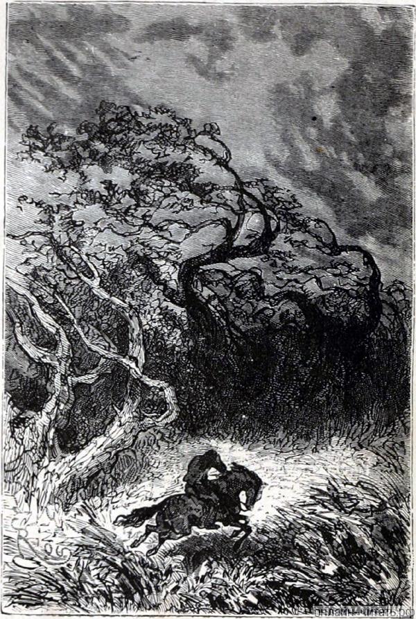 � ��������, ���, � ��������� �� ��������. � �����, �������� �� �����, ������ ����� ������ ����. ����������� � ������ ���� ����� ����� �������� ������. �������� ������ ���, 1868 �.