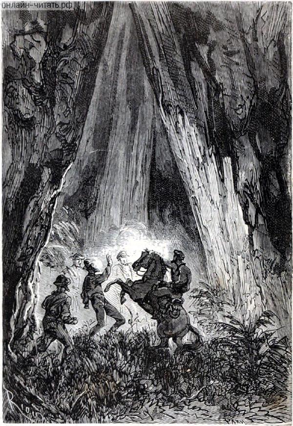 ���� ����� �� ����. �������� �������� ��������� � ������ �����. ����������� � ������ ���� ����� ����� �������� ������. �������� ������ ���, 1868 �.