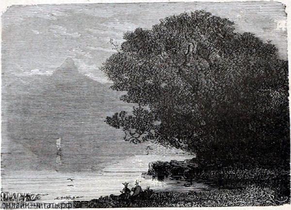     ,        . ,    ,                .        .   , 1868 .