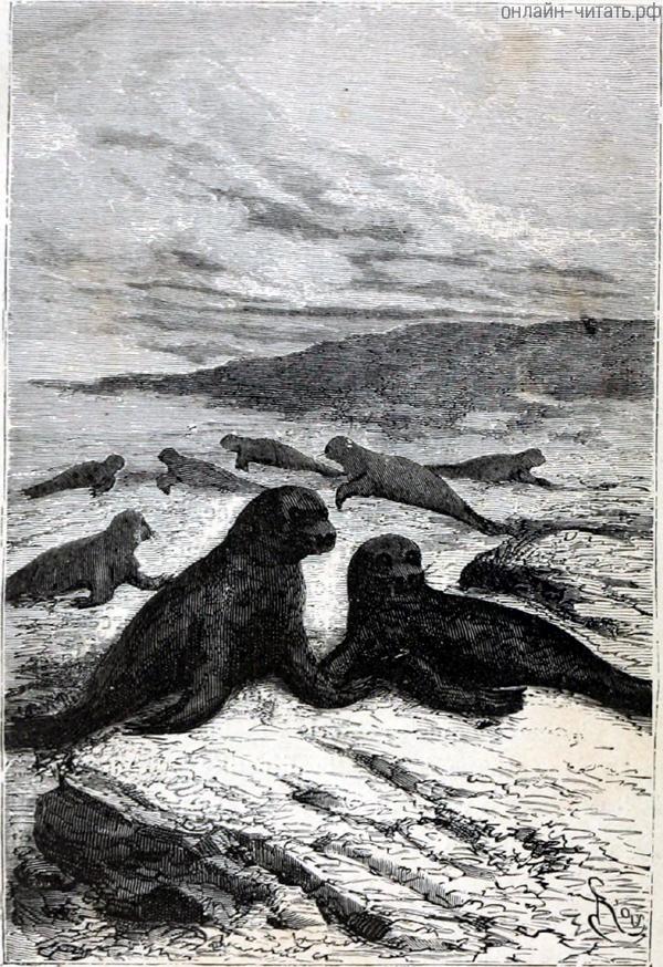 �� ������, � ������� �������� ���������� ����� �������, ������������ ��������� ��������� �������. ��� ������� ��������, � ������� �������, ������� ������� ����, �������������� �������, ����� ����������� ���. ����������� � ������ ���� ����� ����� �������� ������. �������� ������ ���, 1868 �.