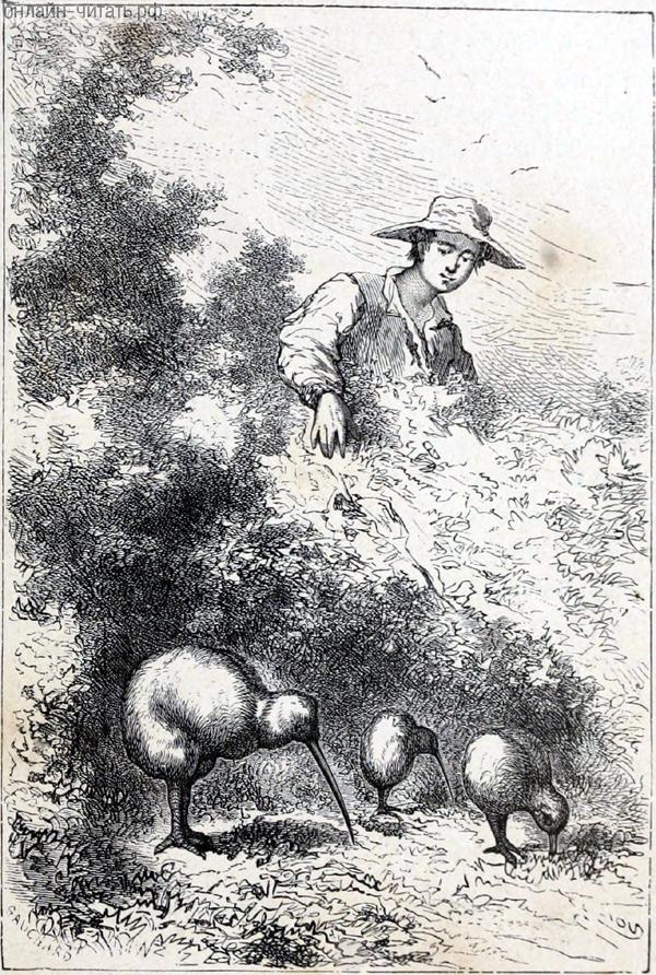 �� ���� �������������� ����-����, ������������� ���������, ������� ��������� ������ �������� ���������, ���������, ���������� � ��������. ����������� � ������ ���� ����� ����� �������� ������. �������� ������ ���, 1868 �.