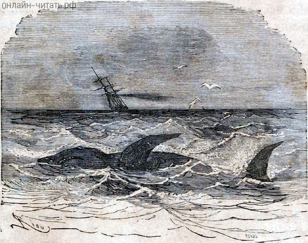    ,  ,       : -.        .   , 1868 .