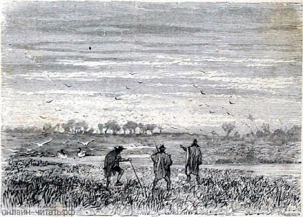 ��������� � ��� ������ ����, ����������� � ����������, ���������� ����������� ����� �� �����������-���������� ����� �� ������� ����. ����������� � ������ ���� ����� ����� �������� ������. �������� ������ ���, 1868 �.