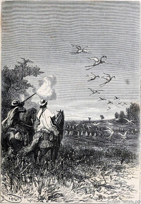 ������������� � ��� �� ���������� ��������� ��������, ������� ��������� �������� �������, ��� ��� �� ����� �������� ��������� ������ �����, � ��������, ������ ������������, ��������� � ���� ����� �������. ����������� � ������ ���� ����� ����� �������� ������. �������� ������ ���, 1868 �.