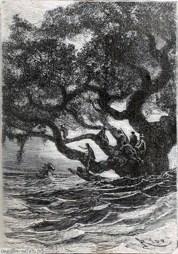 � ����� ����� ��� ������ �������� �������� �����. ��� ������������ � ������ ������� ����� ����� �, ���������� ������� ������, �����, ������ �������� ��� �� ������. ����������� � ������ ���� ����� ����� �������� ������. �������� ������ ���, 1868 �.