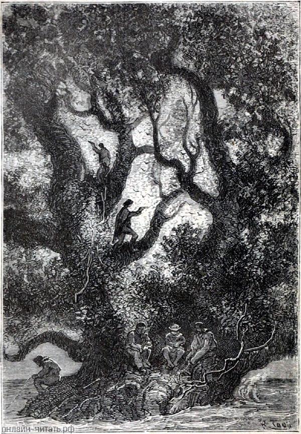 �����, ��-��������, ������� ���� ������� � ������ ������ ����������� ���������. ����������� � ������ ���� ����� ����� �������� ������. �������� ������ ���, 1868 �.