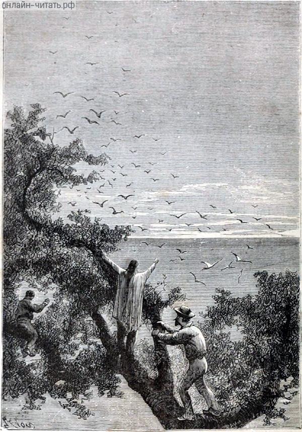      .        .   , 1868 .