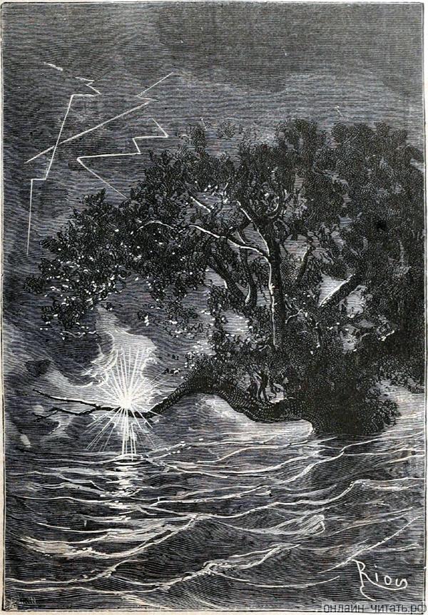 ���������� ���������� ������ ��������� ����� ������������� �����. ����������� � ������ ���� ����� ����� �������� ������. �������� ������ ���, 1868 �.