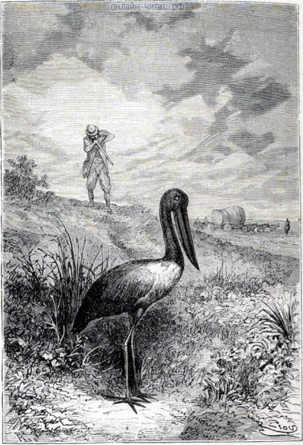 ������ ��� �� ������� ����������� ����� ������, ��� ���������� � ���� ����� �����. ��� ��� ����� � ���������� ������� ���������� �������. ����������� � ������ ���� ����� ����� �������� ������. �������� ������ ���, 1868 �.