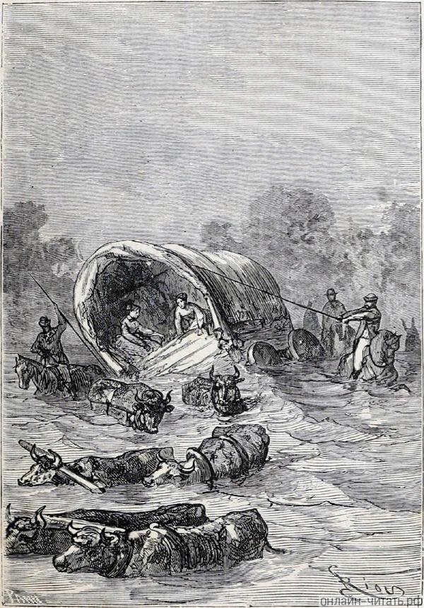 � ��� ������ ������ ���������� ����������� �� ���-��, �������� �����, �� ����������, ���� ������ ���� ��������������, �, �������� �� ��� ������ ���������� � �����, ����������� �� ������� ������ �������, ��� ������ �������� ��������. ������ ���� �������. ����������� � ������ ���� ����� ����� �������� ������. �������� ������ ���, 1868 �.