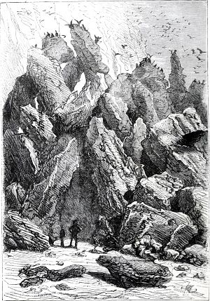    ,    ,    , , ,     .       .  - , 1874-1875 .