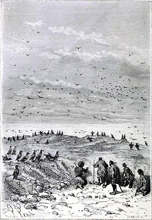       .       .  - , 1874-1875 .