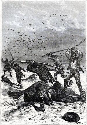        ,    .       ,   .       .  - , 1874-1875 .