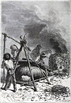   ,   .    ,       ,     ,    .    ,   ,   ,       , ,  ,     .       .  - , 1874-1875 .