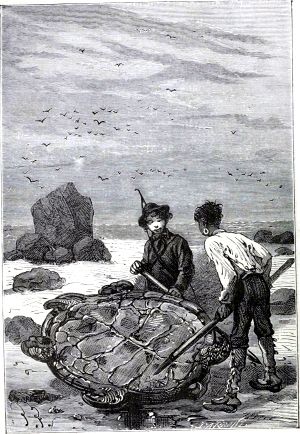                  .          .       .  - , 1874-1875 .