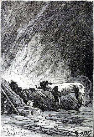      ,  ,  ,  ,       ,    .      ,       .       .  - , 1874-1875 .