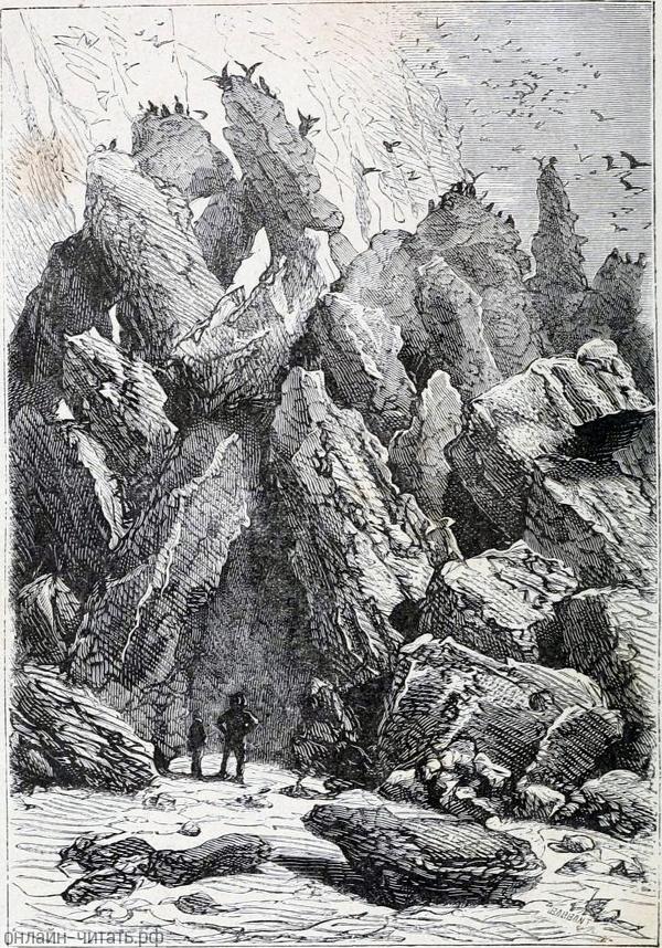    ,    ,    , , ,     .       .  - , 1874-1875 .