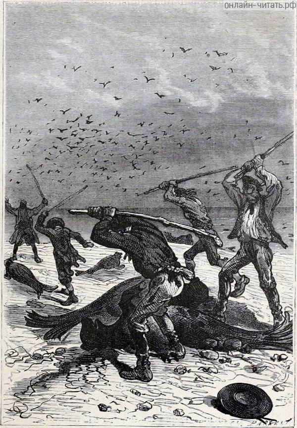        ,    .       ,   .       .  - , 1874-1875 .