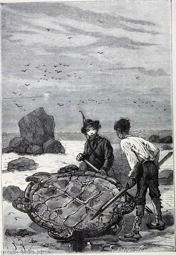                  .          .       .  - , 1874-1875 .