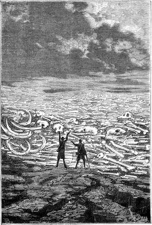 �� � ������ ����������� ����� ��������� ��������, ��������� � ��������,
������� � ������������� �����������, ��� ����� ����� ���� ��������� ����,
���, ������, �������, �������� �������. ����������� � ������ ���� ����� ������������ � ������ �����. �������� ������ ���, 1867 �.