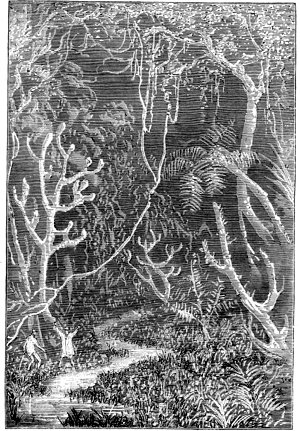 ��� ���� �������������� ���������� ������� �� ���� �� �����������. ����������� � ������ ���� ����� ������������ � ������ �����. �������� ������ ���, 1867 �.